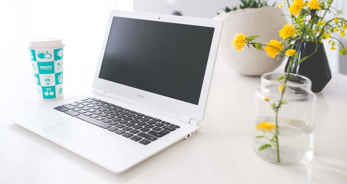 Ремонт ноутбуков Acer в Ростове на Дону