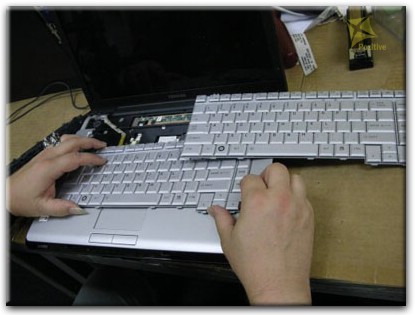 Ремонт клавиатуры на ноутбуке Toshiba в Ростове на Дону